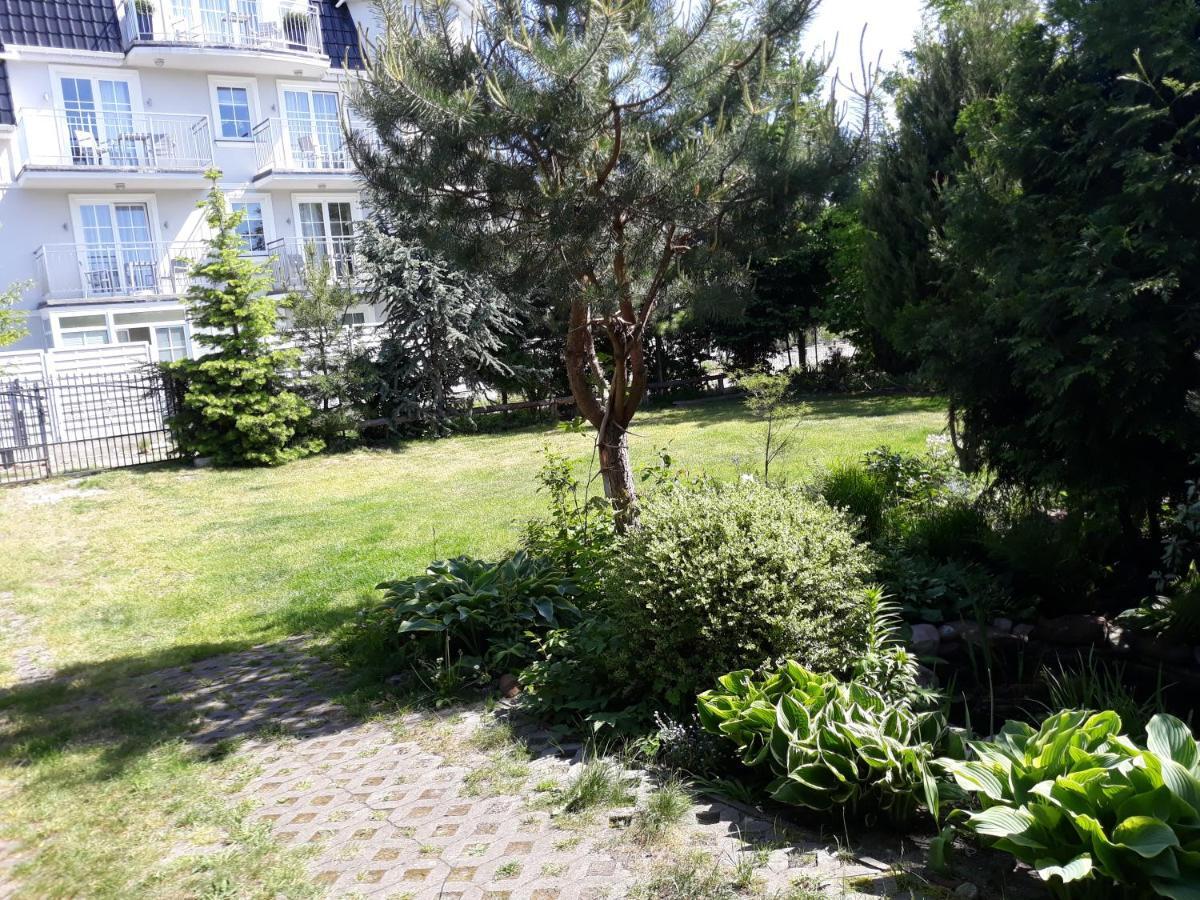 Villa Jaskolka 米兹多洛杰 外观 照片