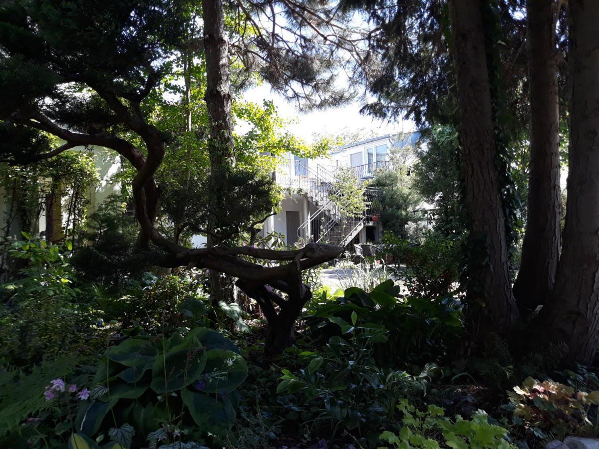 Villa Jaskolka 米兹多洛杰 外观 照片